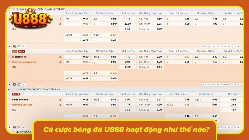 Bảng tỷ lệ trận đấu cập nhật liên tục theo diễn biến trên sân