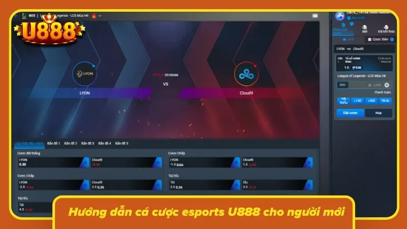 Người mới bắt đầu từ việc chọn game và trận đấu muốn theo dõi