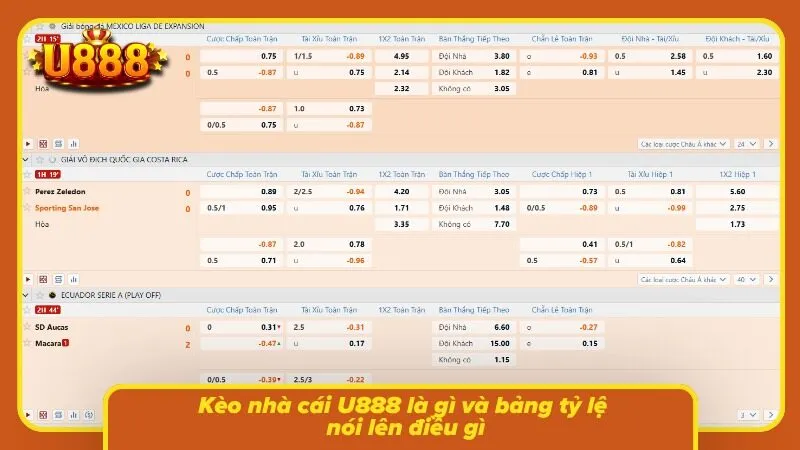 Biến động trên bảng kèo phản ánh diễn biến thị trường cược