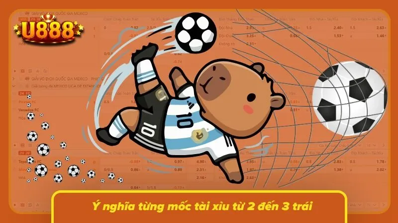 Người chơi đối chiếu từng mốc để hiểu điều kiện thắng cược