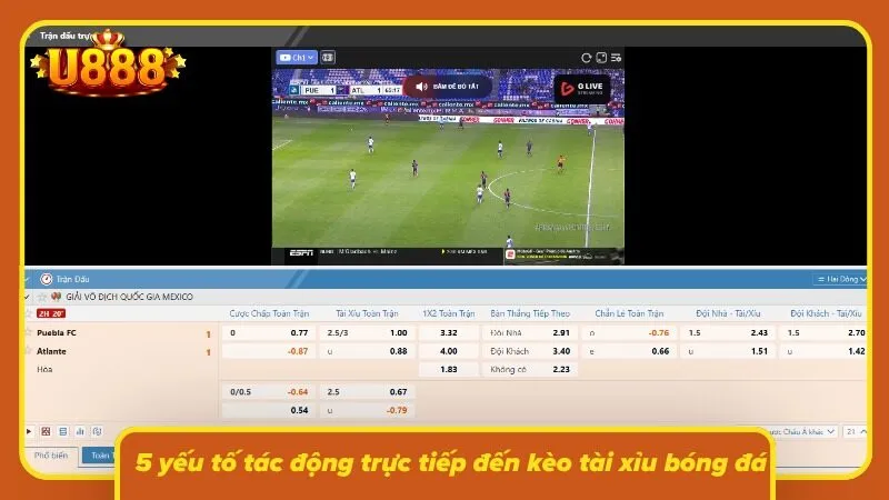 Phong độ ghi bàn là dữ liệu đáng chú ý khi đánh giá cửa tài xỉu